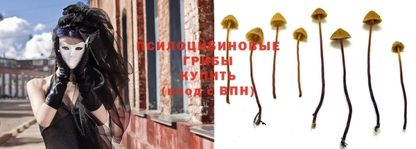 спиды Беломорск