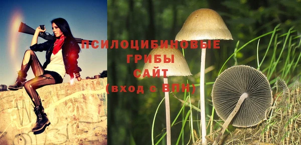 альфа пвп Белокуриха