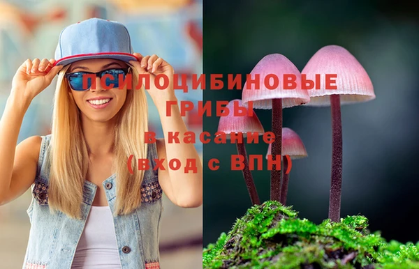ГАЛЛЮЦИНОГЕННЫЕ ГРИБЫ Белоозёрский