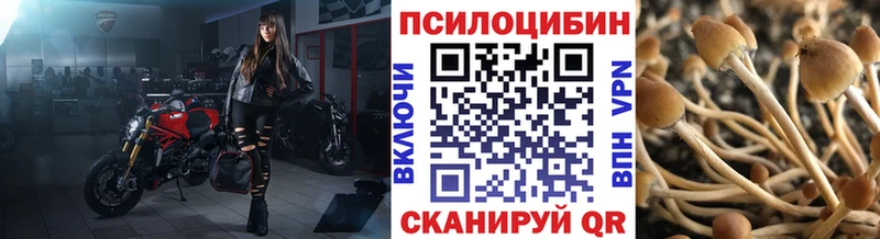MEGA ссылки  купить наркотик  Тосно  Галлюциногенные грибы ЛСД 